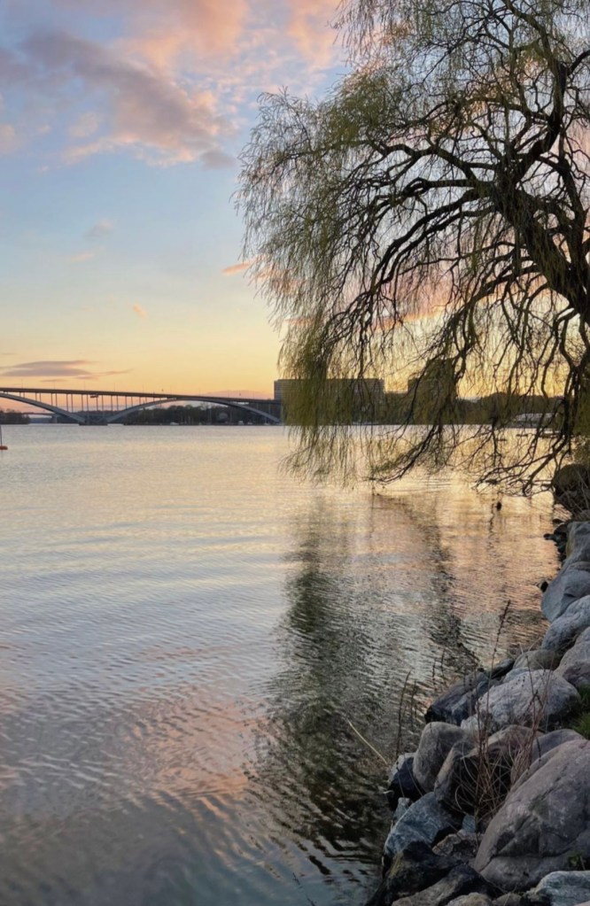 Dieses Bild hat ein leeres alt-Attribut; sein Dateiname ist norr-macc88larstrand.jpg.