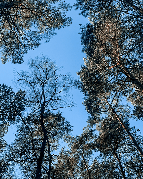 I NEEDED A BREAK – MEGA RECAP OF THE PASTS&nbsp;MONTHS