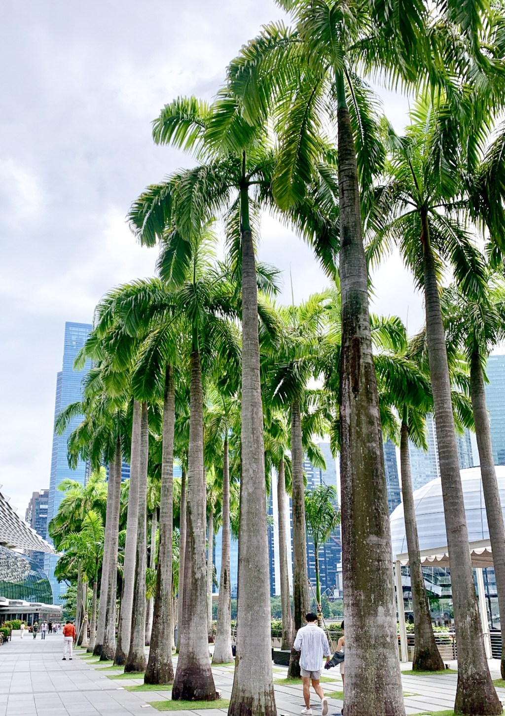 A WEEK IN&nbsp;SINGAPORE