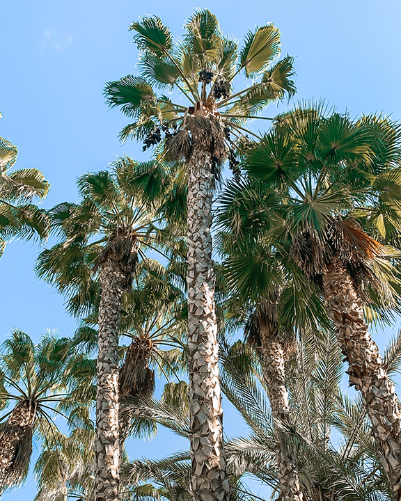 LAST-MINUTE GIRLS TRIP TO&nbsp;SPAIN